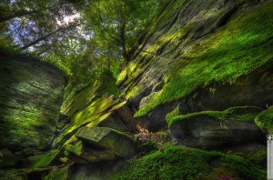 Moss Covered Climbing Rocks McConnell's Mill State Park photography by Glen Green